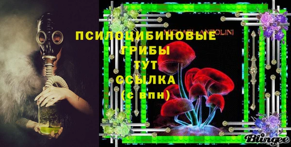 прущая мука Елабуга