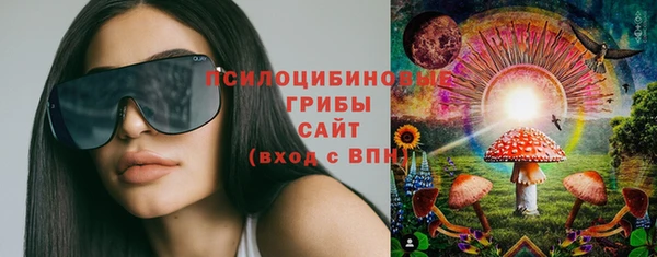 прущая мука Елабуга
