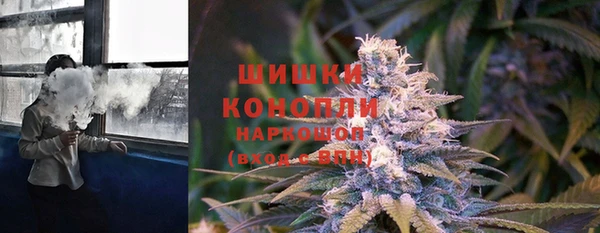 мяу мяу мука Елизово