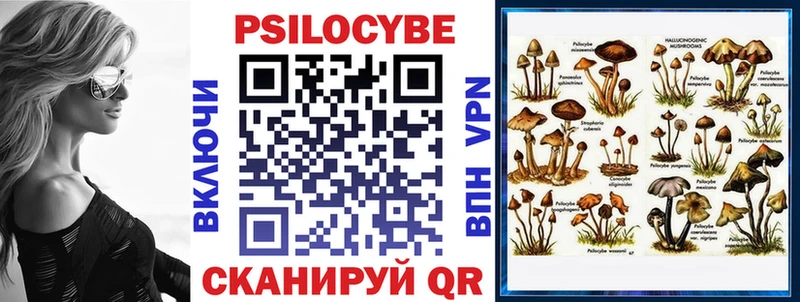 как найти закладки  Зуевка  Псилоцибиновые грибы Psilocybine cubensis 